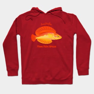 Flame Fairy Wrasse Hoodie